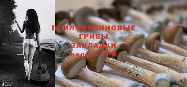 прущая мука Медвежьегорск