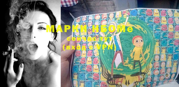 прущие грибы Майский