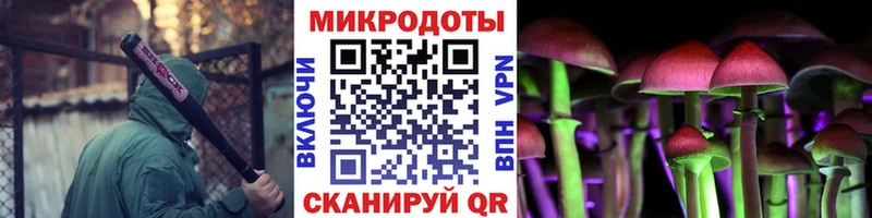 Купить  Нижний Тагил  Галлюциногенные грибы Cubensis 