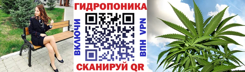 Купить где  Нижний Тагил  Бошки марихуана сатива 